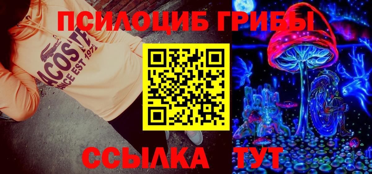 Псилоцибиновые грибы Psilocybe Солнечногорск