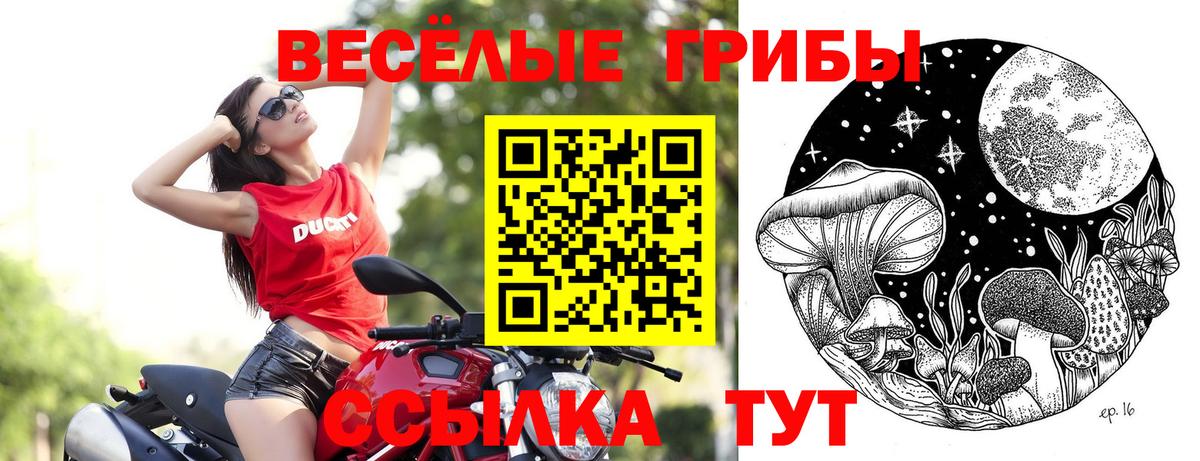 Галлюциногенные грибы MAGIC MUSHROOMS  Вход с VPN  Солнечногорск 